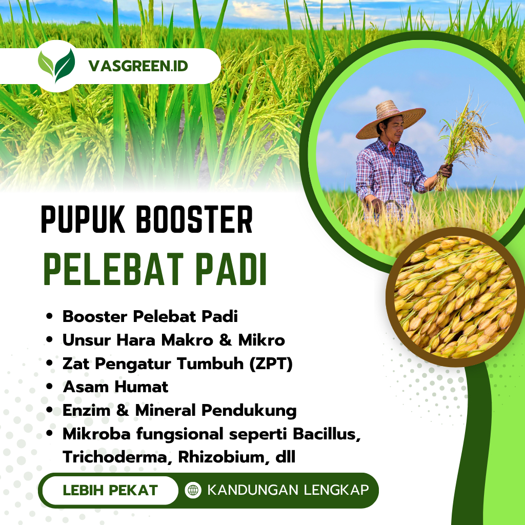 Shopritz Pupuk Padi Pupuk Cair Pelebat Padi Pupuk Organik Cair Memperbanyak Anakan Padi 1Liter-Pupuk