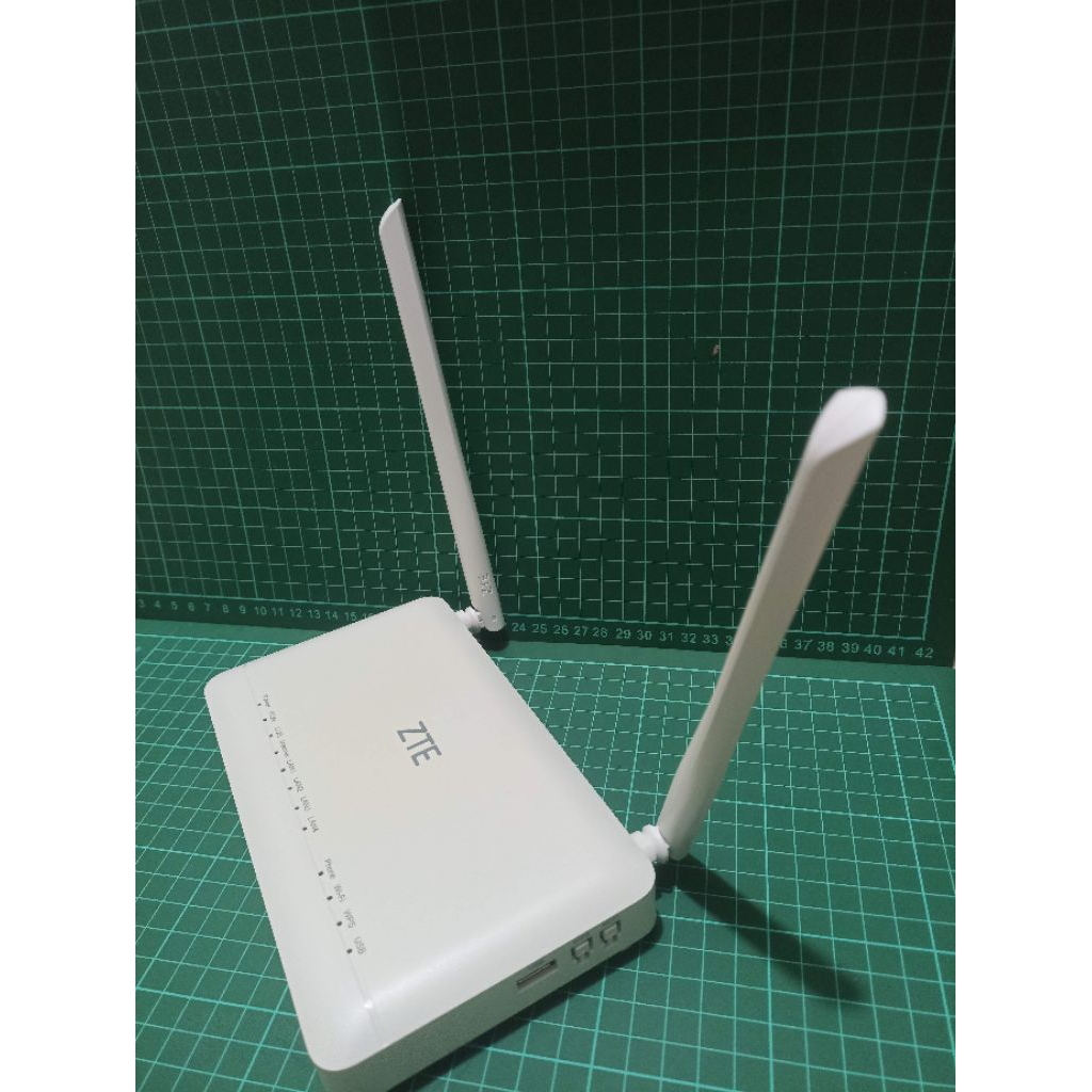 ZTE ONT F609 PORT BIRU