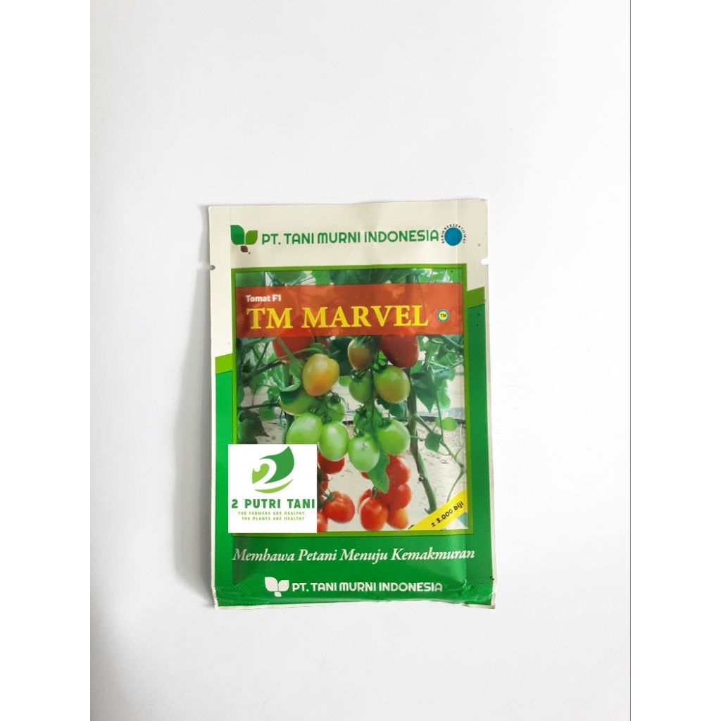 BENIH TOMAT F1 TM MARVEL 3000 BIJI