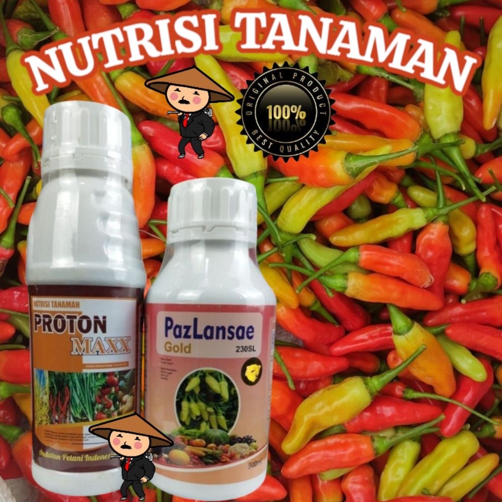 PROTON MAXX + PAZLANSAE GOLD 500 ML