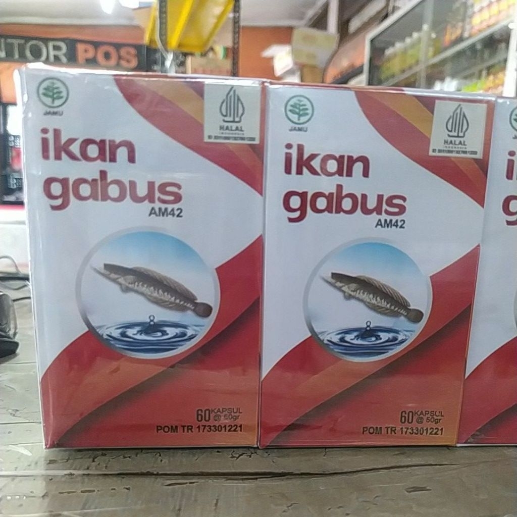 KAPSUL IKAN GABUS AM42 60 KAPSUL