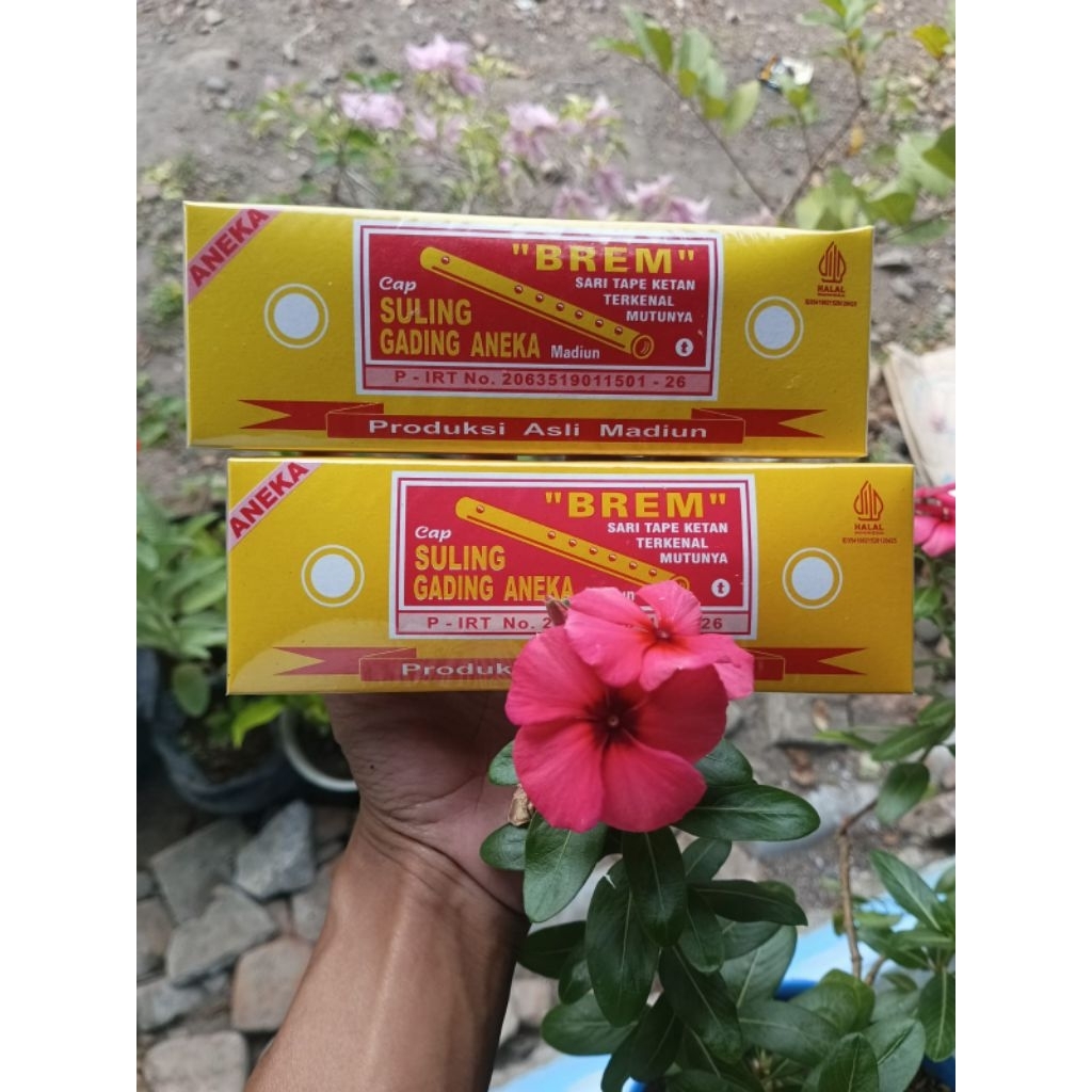 

BREM ASLI MADIUN MURAH BREM CAP SULING GADING ANEKA ASLI ENAK MURAH HALAL LEMBUT -+30GRAM ISI -+3 BATANG BELI 15 BOX FREE 1 BOX (KEMASAN KECIL YA GAESS SESUAI GAMBAR ATAU VIDEO KAMI, BIAR TIDAK KAGET)