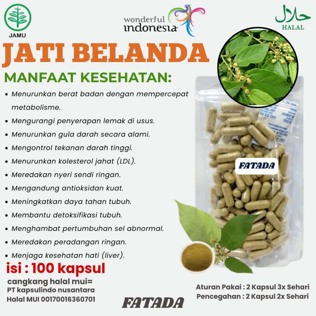DAUN JATI BELANDA HERBAL.KAPSUL DAUN JATI BELANDA