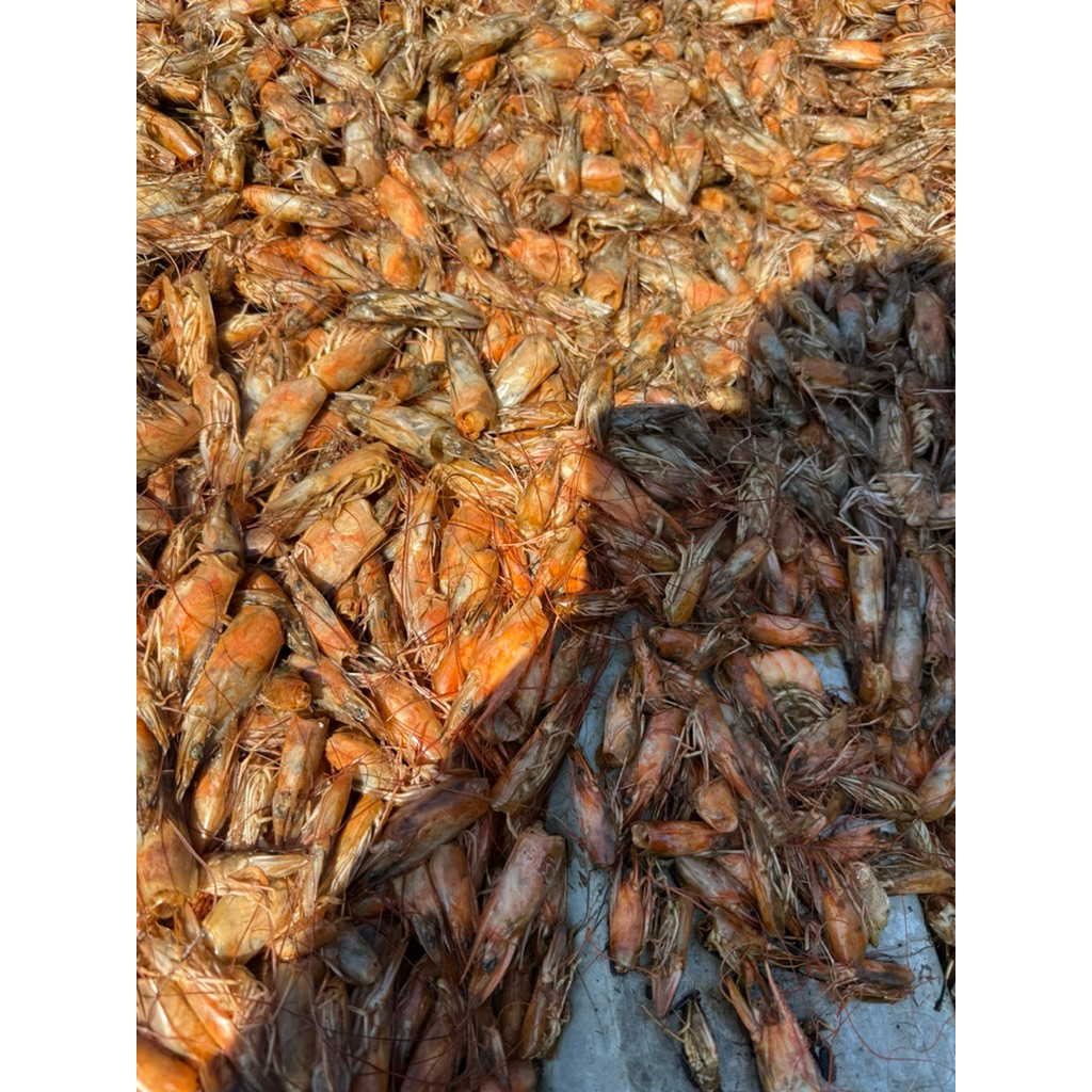 

kepala udang / limbah kepala udang kering 10kg