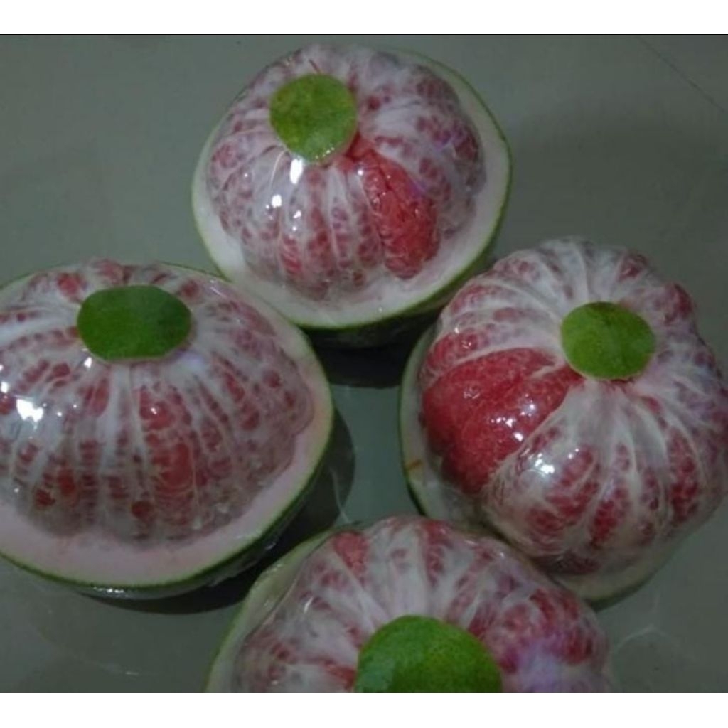 

buah jeruk bali lokal|jeruk bali bandung|buah jeruk|nuri fruits|buah segar bandung|buah segar|buah bandung|buah segar|jeruk bali|buah jeruk