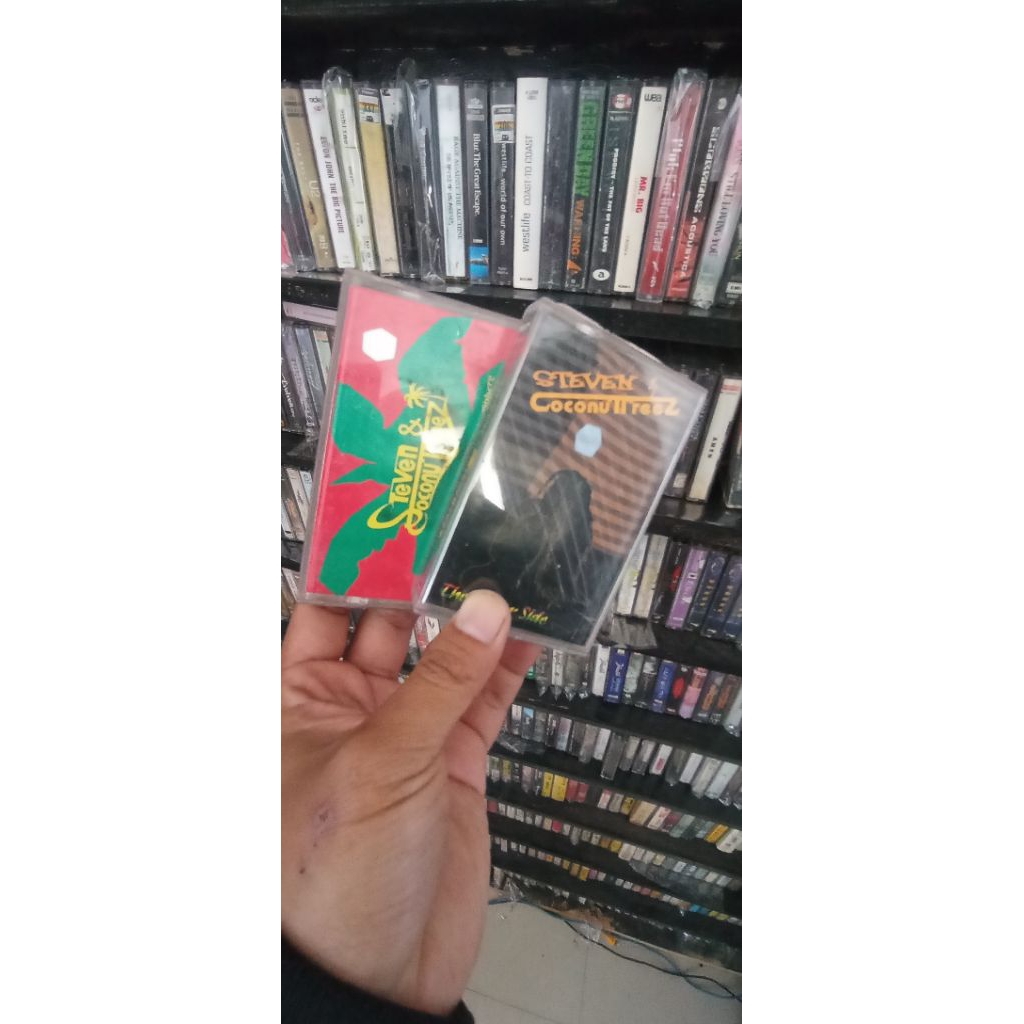 KASET SEPAKET STEVEN COCONUT TREESS