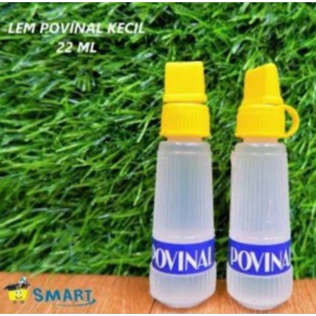 

Lem Povinal 22 mL