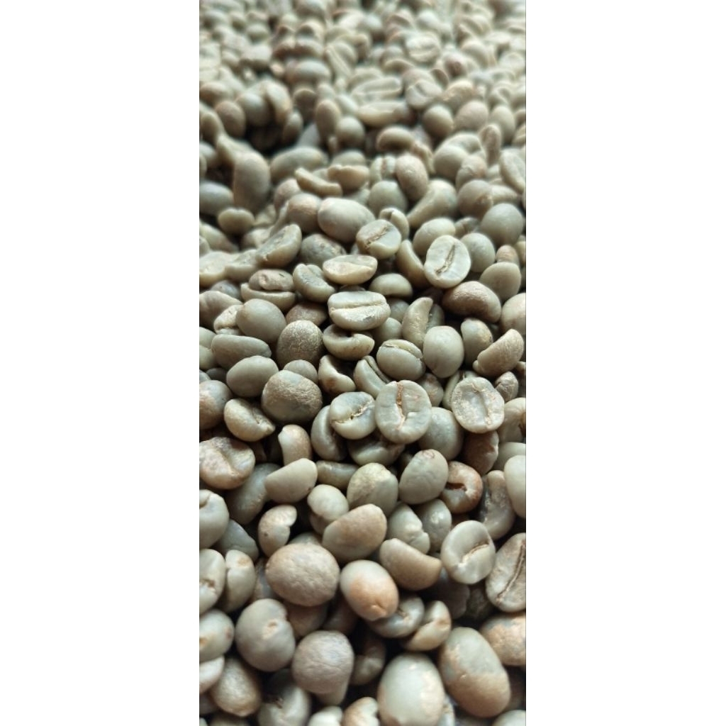 

GREENBEAN KOPI ARABIKA PROSES HONEY
