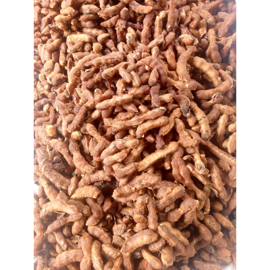 

asem Jawa segar 1 kg asli pegunungan