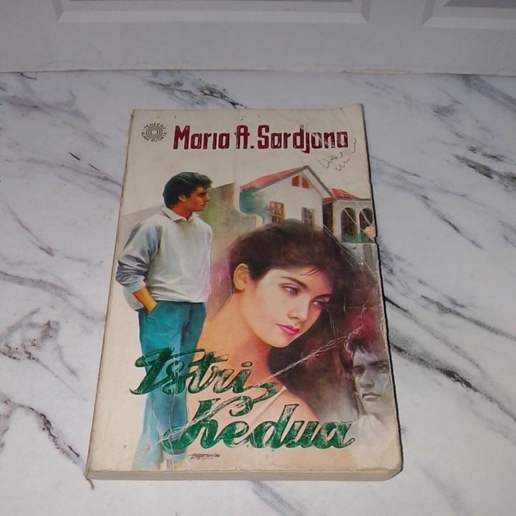 Buku novel (istri kedua)