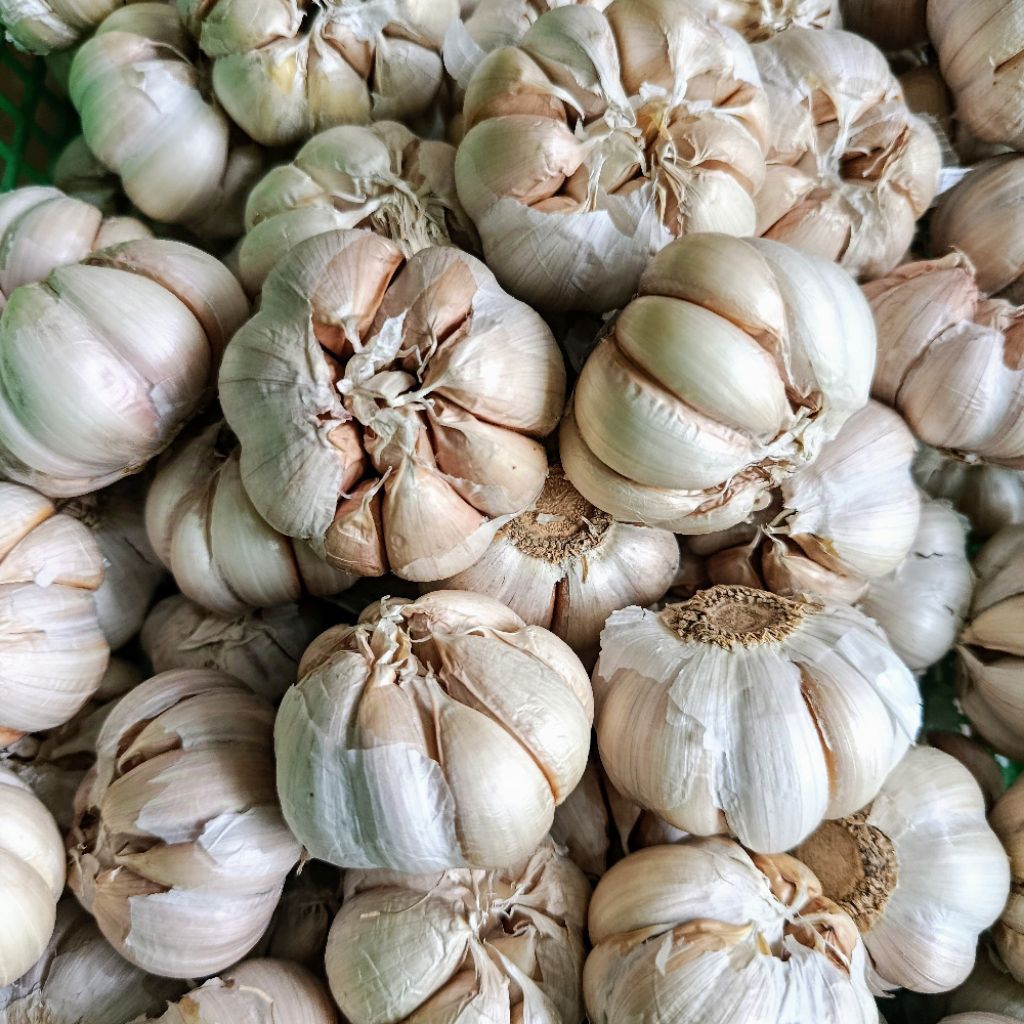 

Bawang Putih Super 1kg/500gr/250gr Bawang Putih Honan Bersih