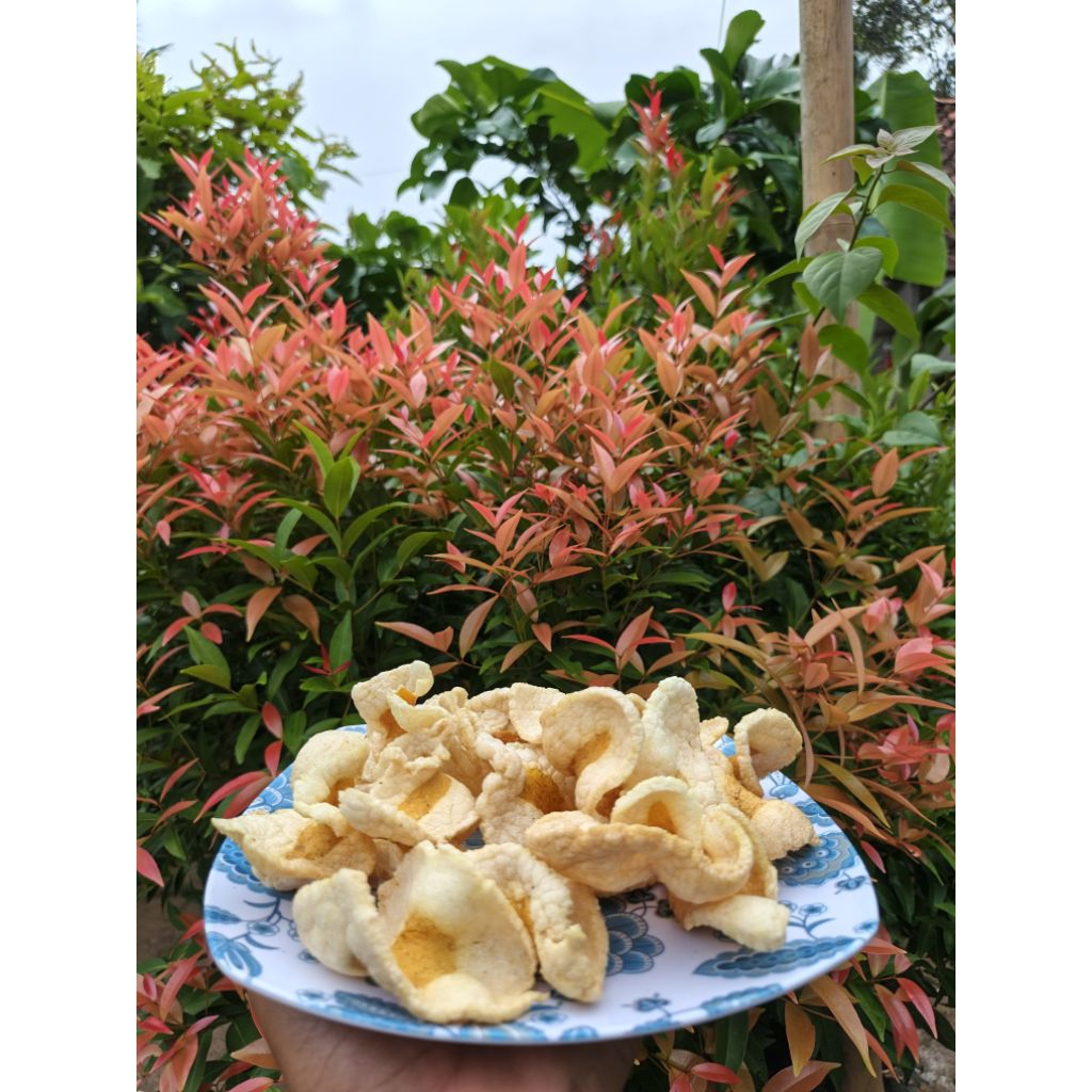 

Kerupuk Telur Asin Murni Rasa Gurih 250gr