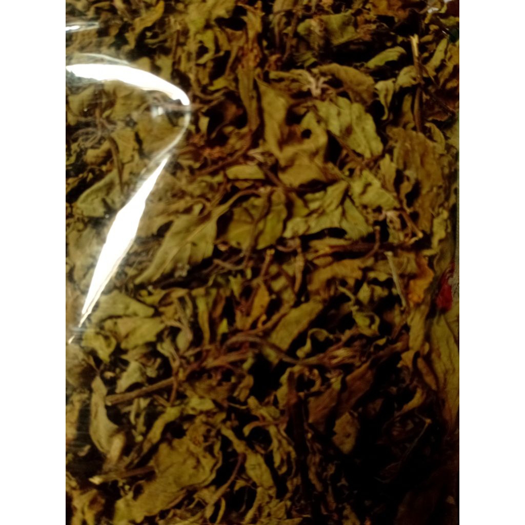 

teh herbal daun kumis kucing