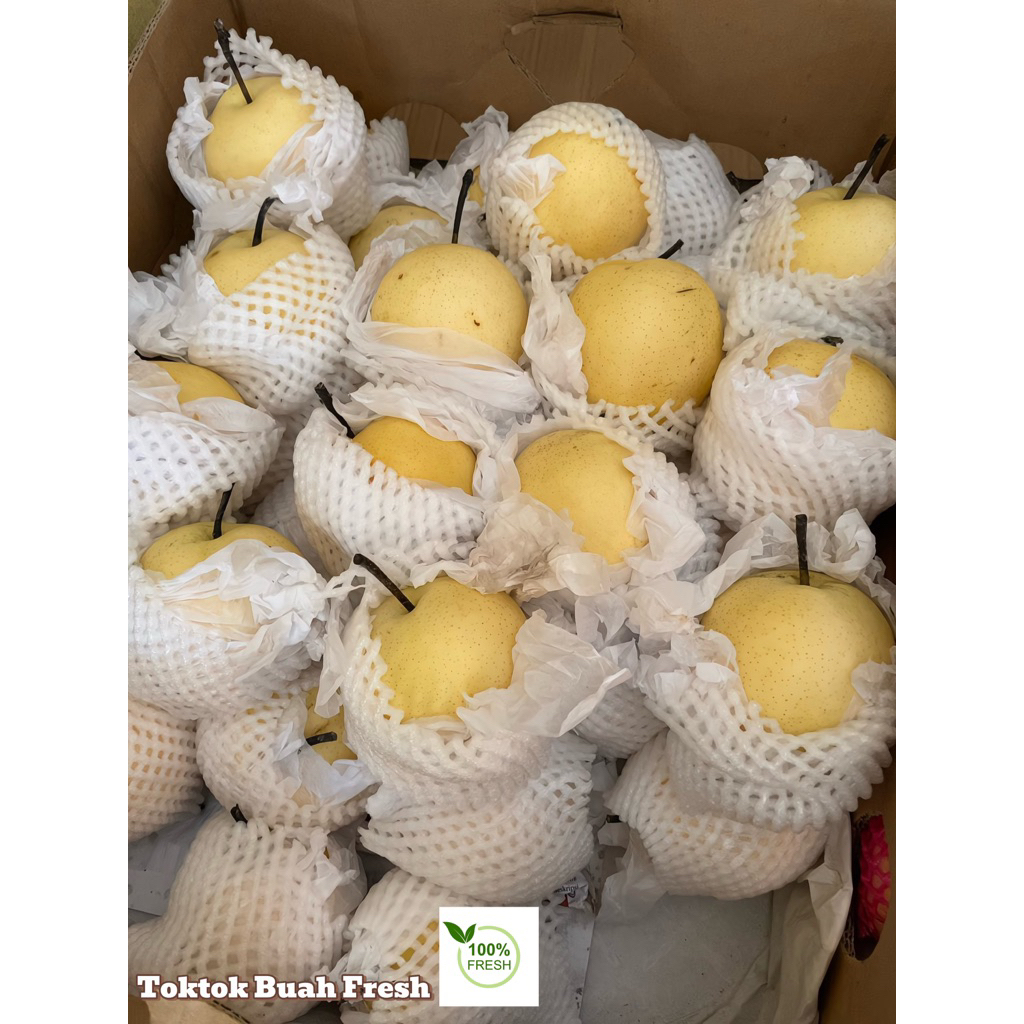 

Buah pear century 1 kg fresh || kirim instan