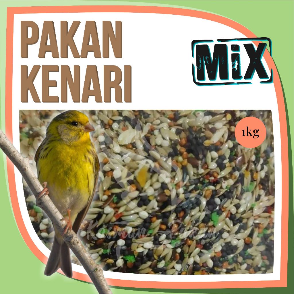 Pakan Kenari 1 Kg Campur Kiloan Premium Tinggi Biji Sawi Cede Jewawut Kenari Niger Seed Milet Putih