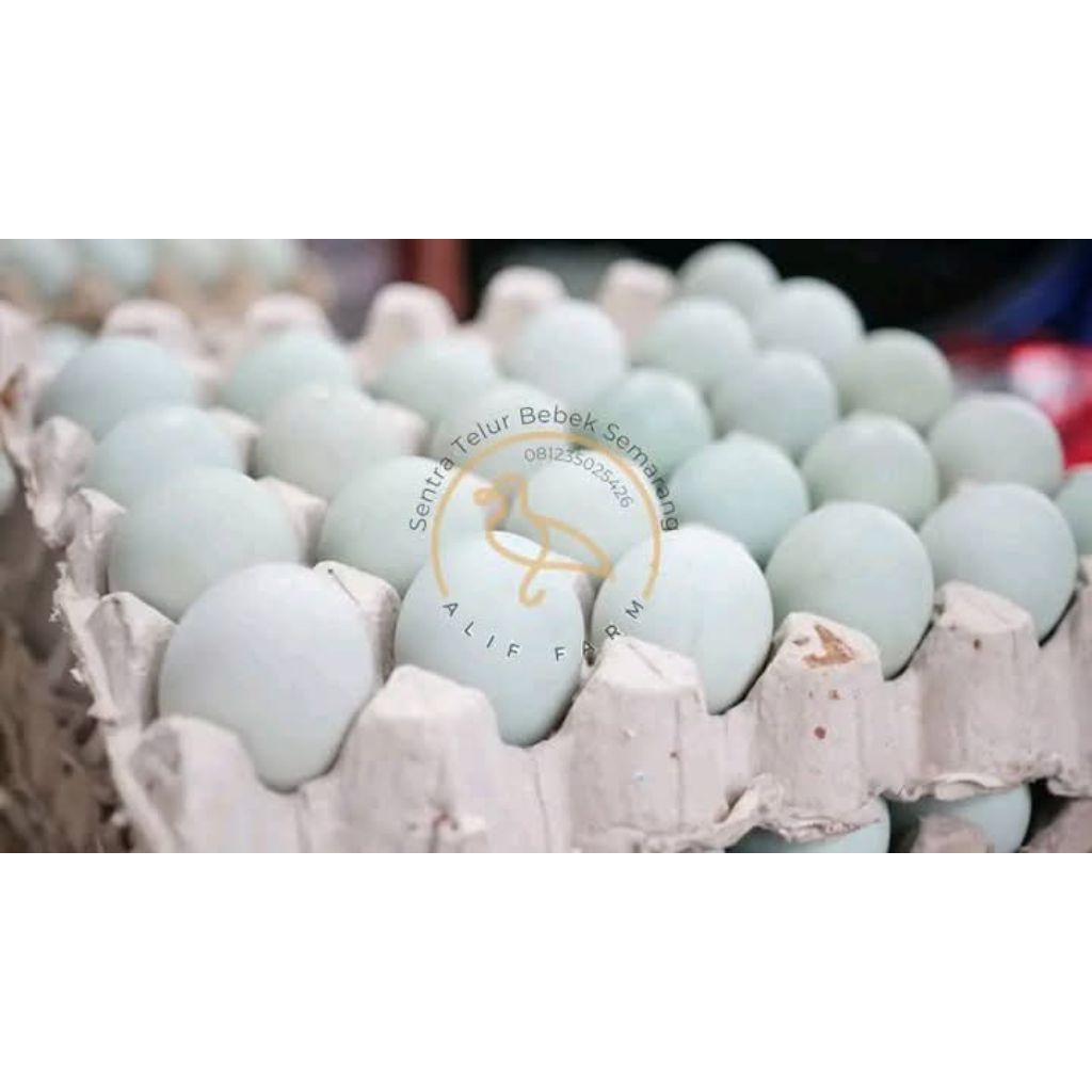 

Telur asin matang/masir (10 butir)