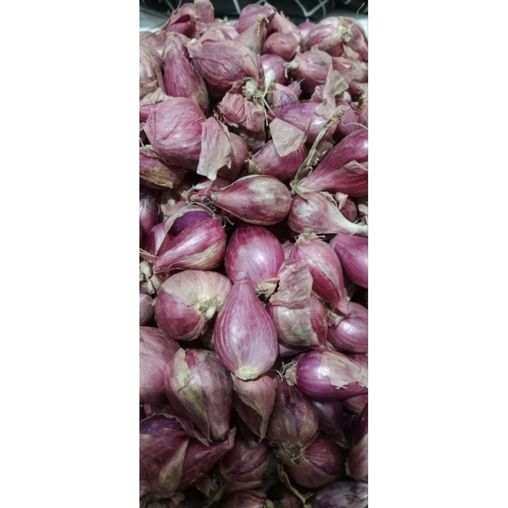 

Bawang Merah Murah, Asli Brebes.