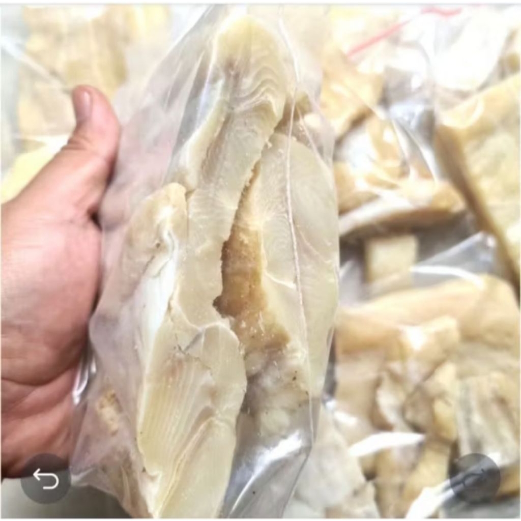 

AS24 | Ikan Jam Bal Roti Super Kualitas Premium – Gurih, Renyah & Siap Santap