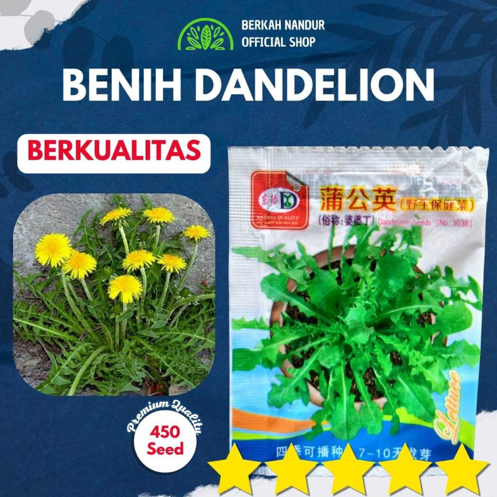 Benih Dandelion Benih Tanaman