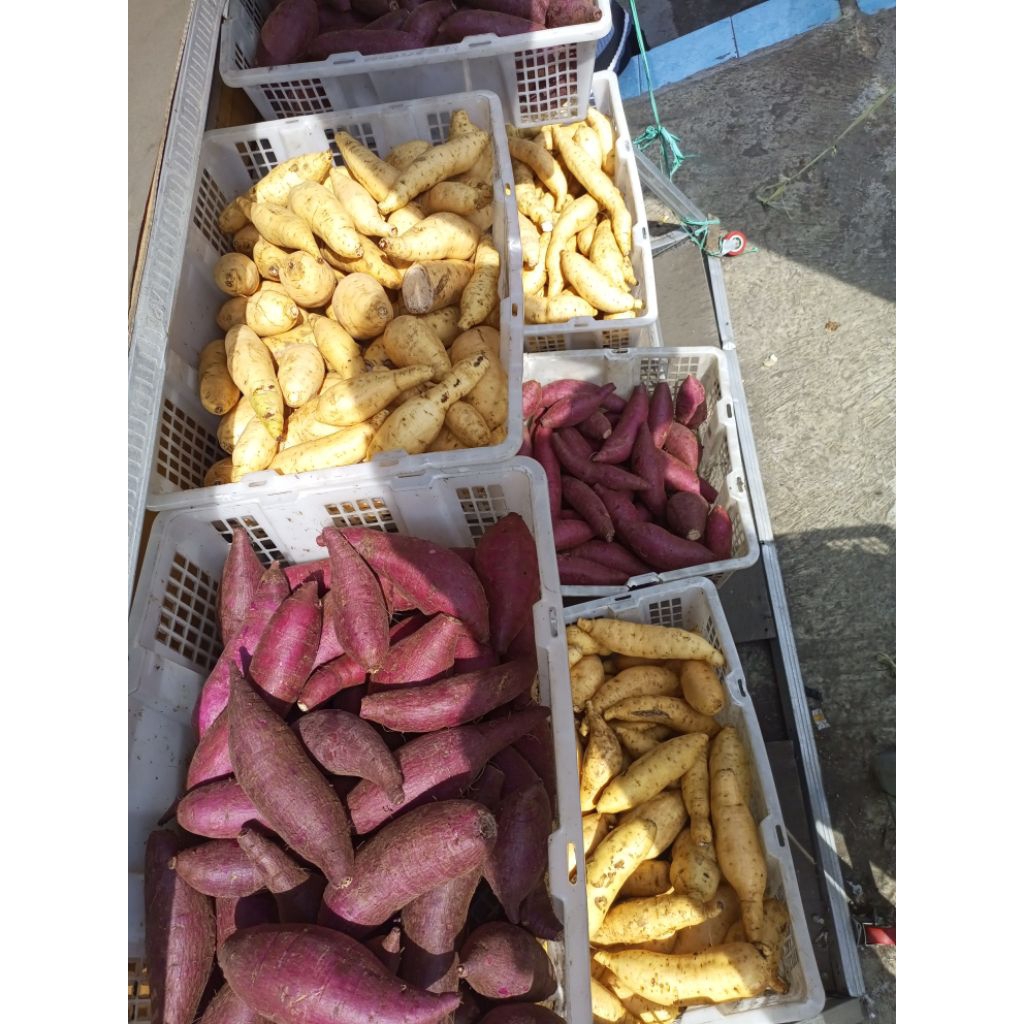 

Terlaris ubi madu Cilembu/Simanis legit berat 1kg