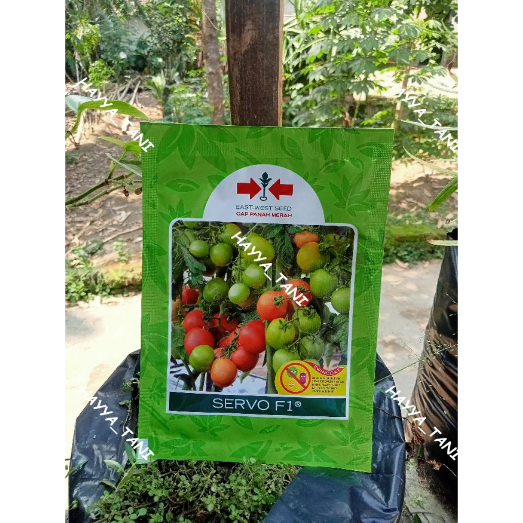 Benih Tomat SERVO F1 Cap Panah Merah