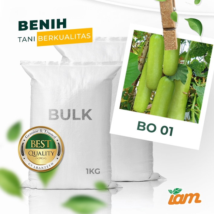 

BULK 1kg – labu F1 (BO 01)