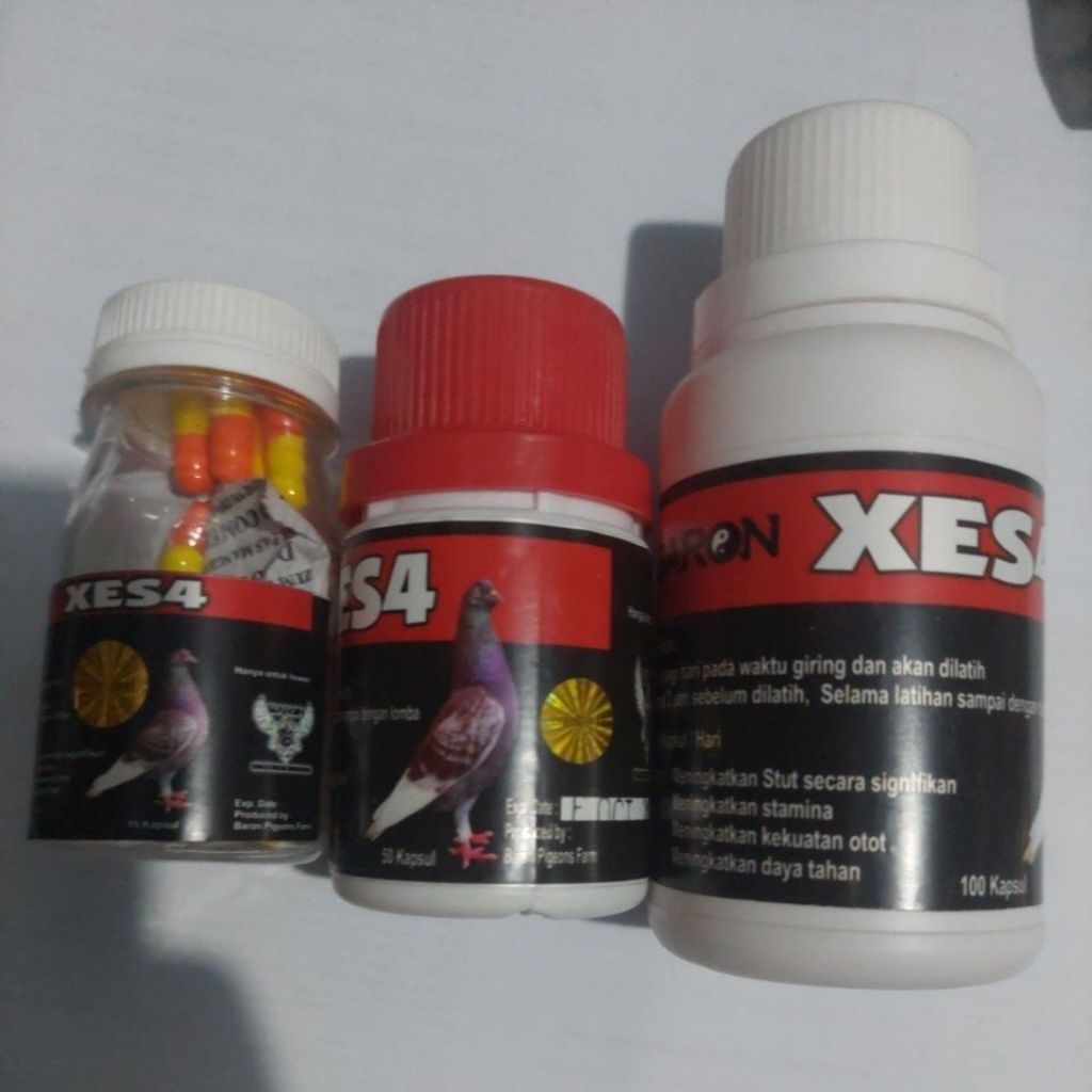 Xes4 Merpati Baron Meningkatkan Kualitas Otot