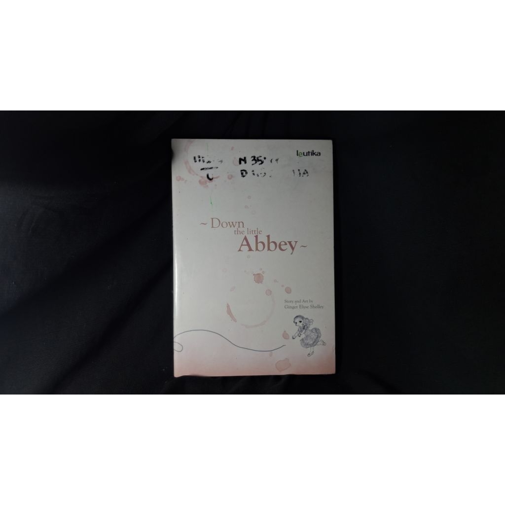 Down the Little Abbey - Ginger Elyse Shelley / Ziggy