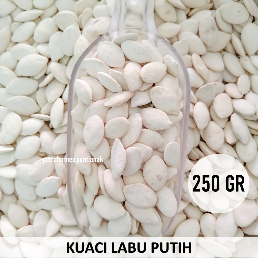 

Kuaci Putih Biji Labu 250 gr / Kuaci Labu Putih / Pumpkin Seed Snack Kiloan Cemilan Sehat