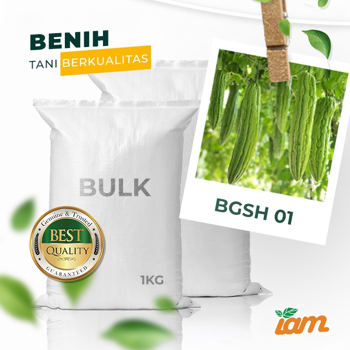 

BULK 1kg – parea F1 (BGSH 01)