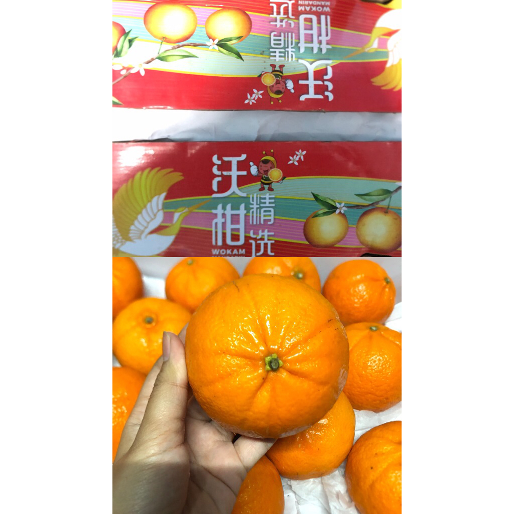 

Jeruk Wokam Mandarin SWAM /kg