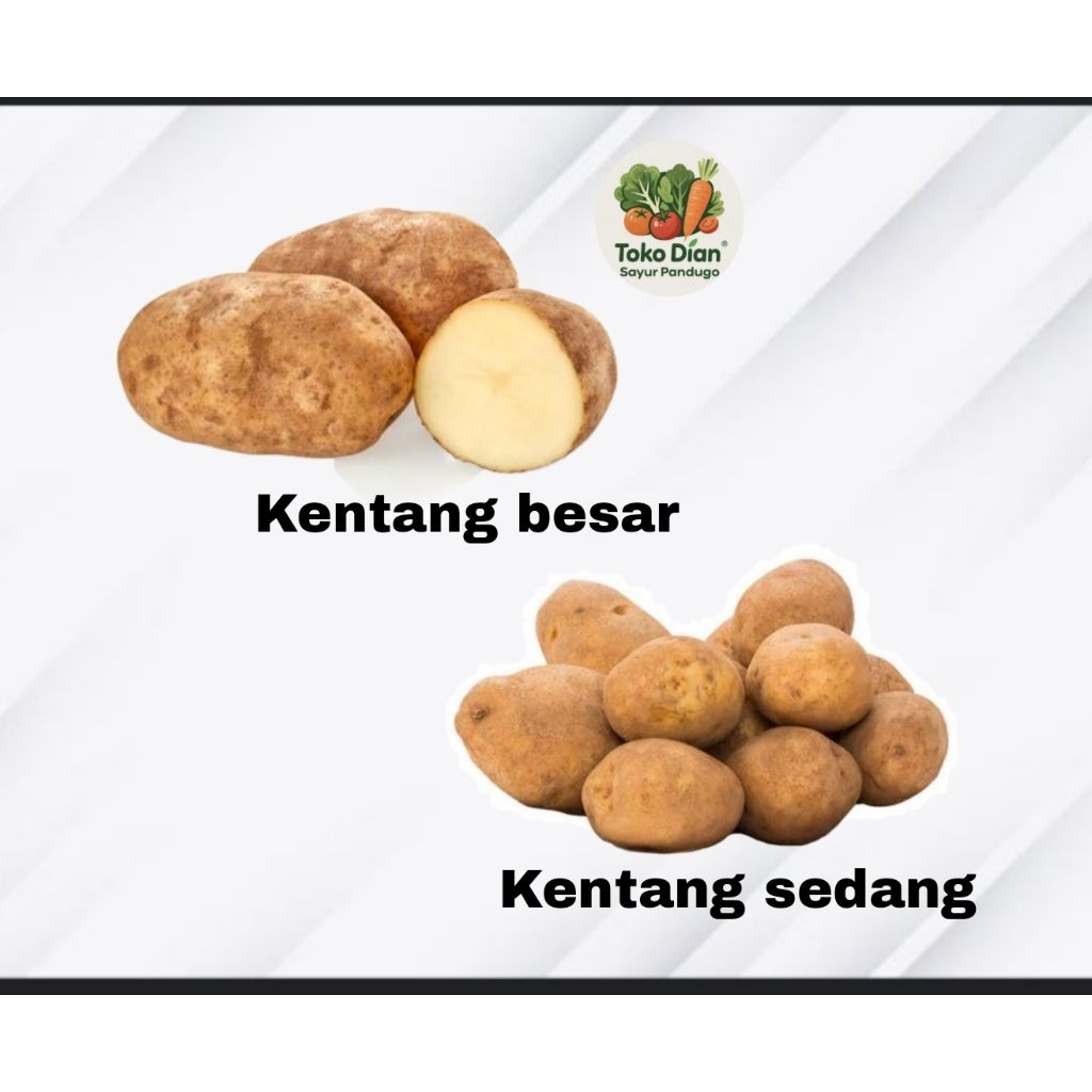 

KIRIM BESOK Kentang besar /kentang sedang segar / Diansayurpandugo