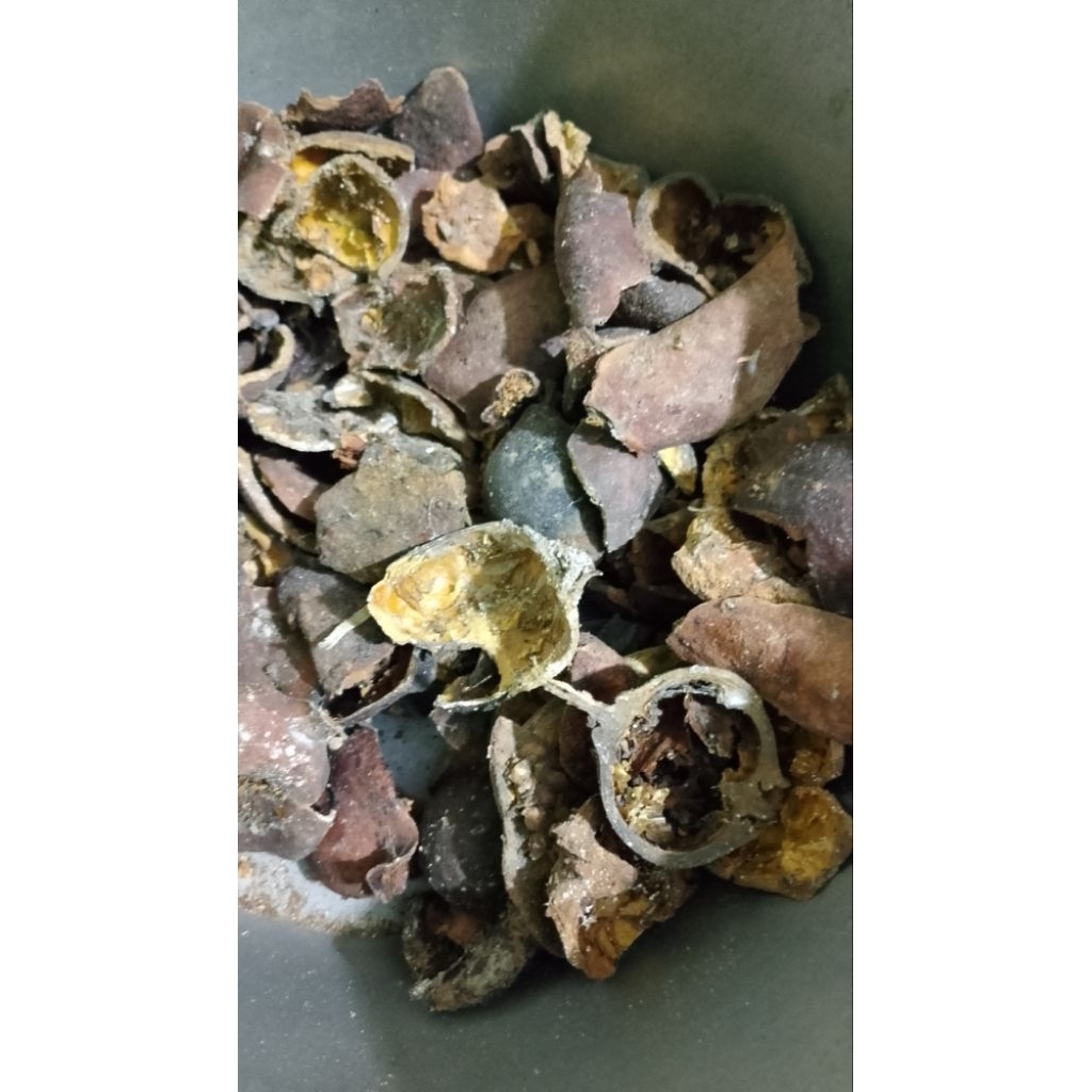

KULIT DELIMA /bahan herbal kering/ 100gr