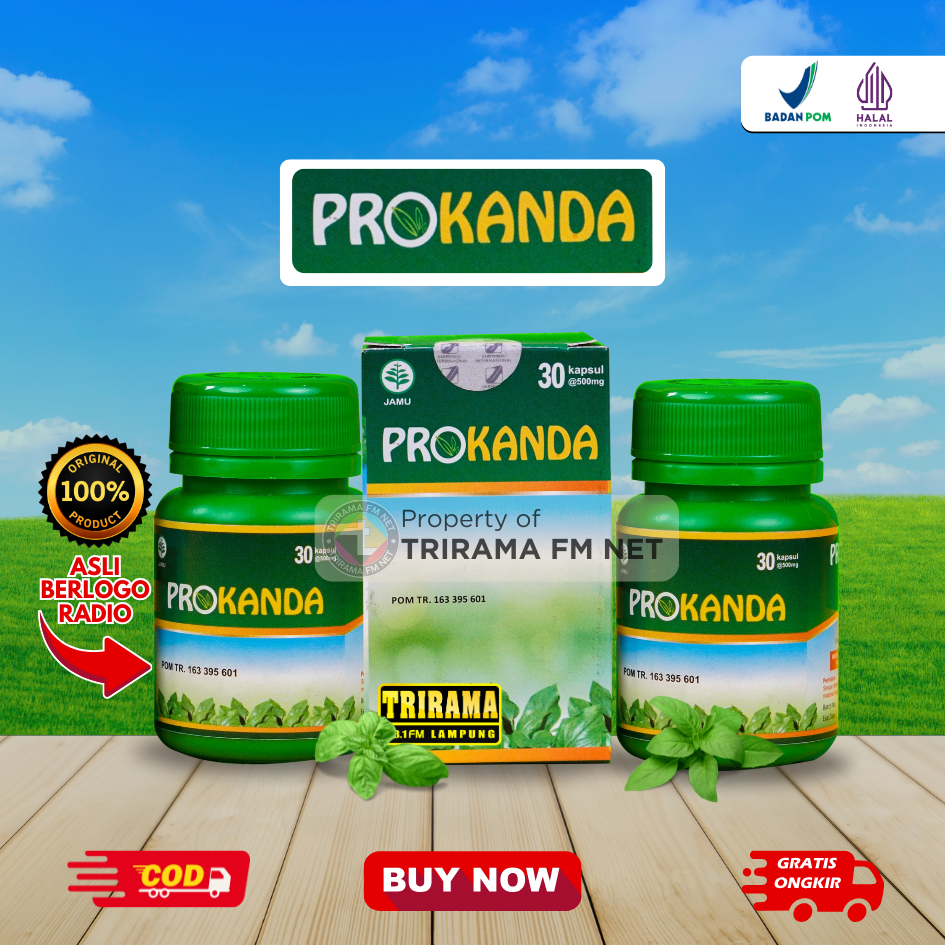 Agarillus PROKANDA Obat Benjolan Kangker Getah Bening Tumor payudara Herbal kangker
