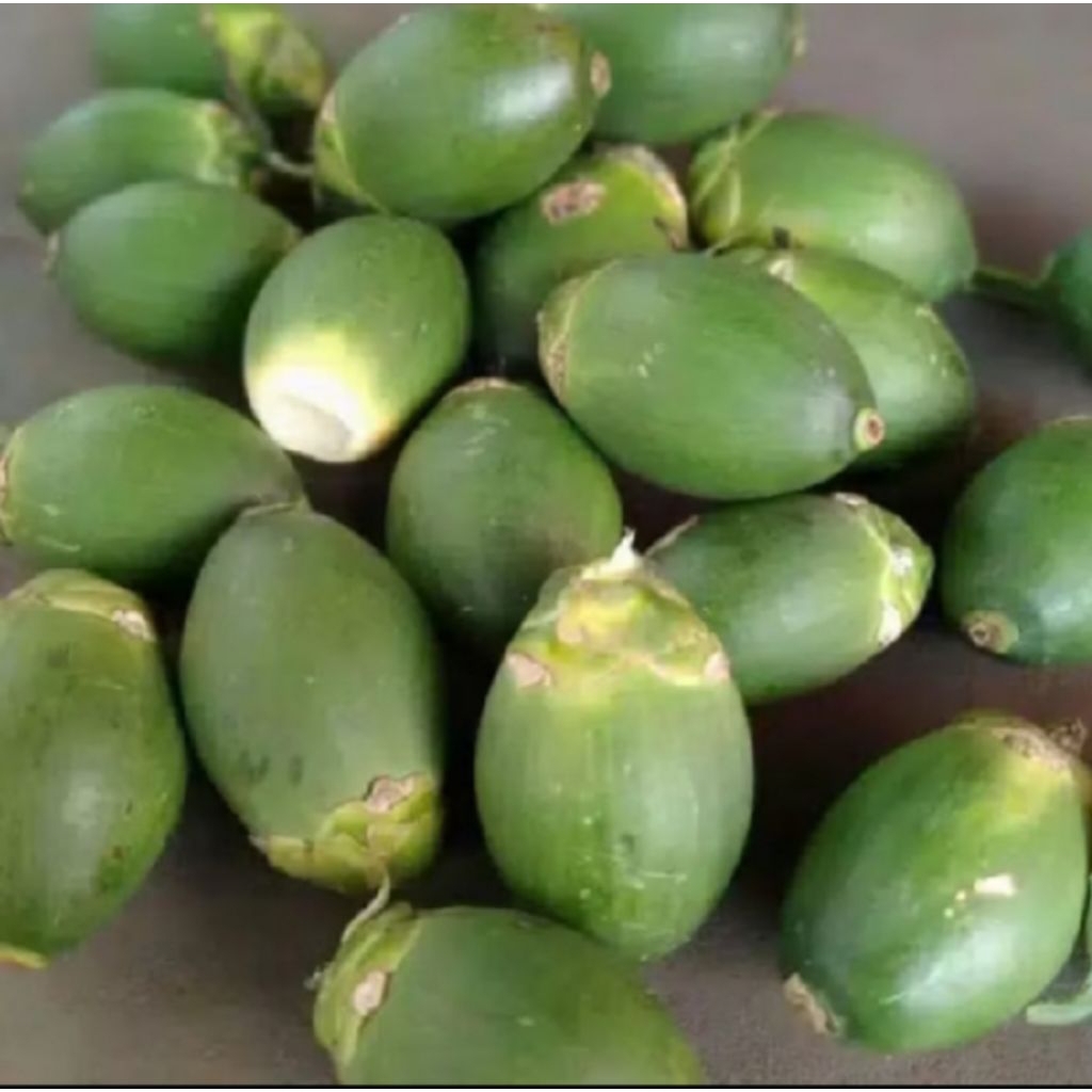 

Buah Pinang Muda 1kg Segar Buah Jambe muda