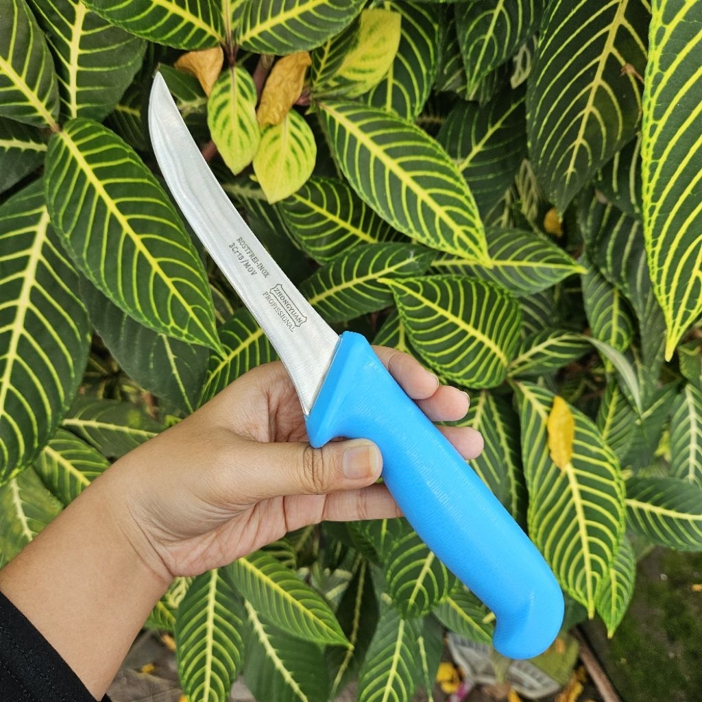 Zhongyuan Boning Gemuk lengkung