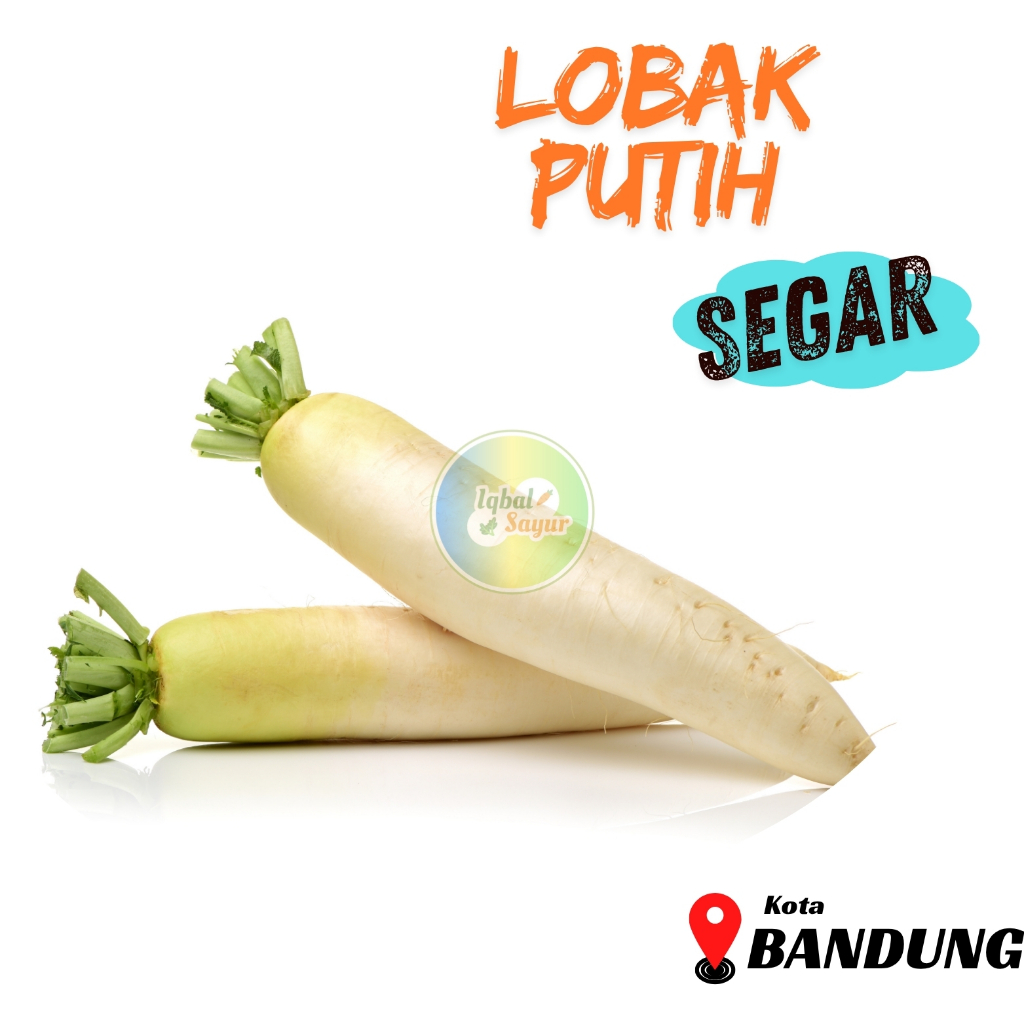 

Lobak Putih Segar 500 Gram Bandung