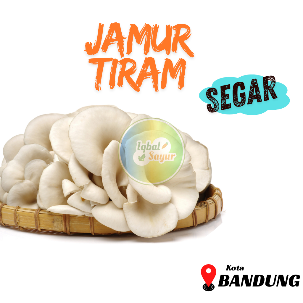 

Jamur Tiram Segar Bandung