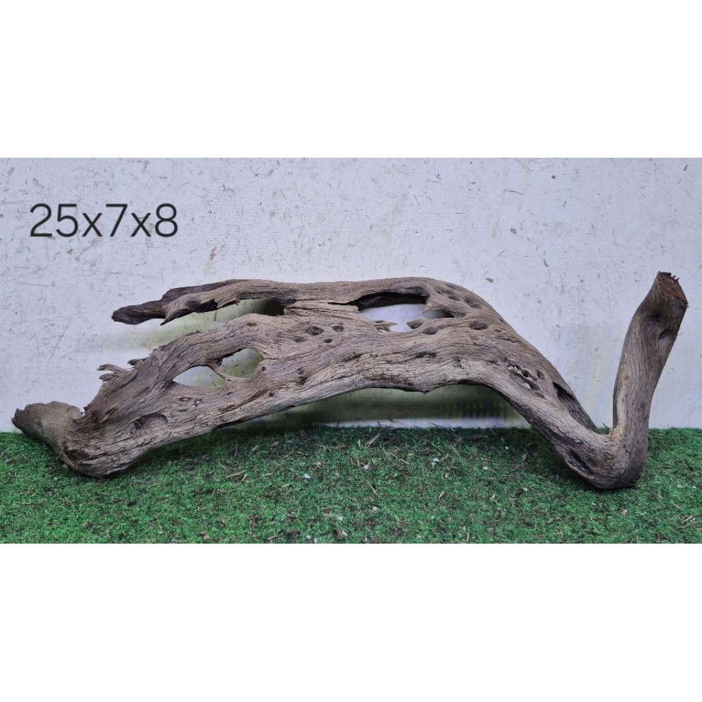 Kayu Santigi Laut Kecil 25cm Kayu Tenggelam Aquascape Aquarium Taman 25x7x8 D1
