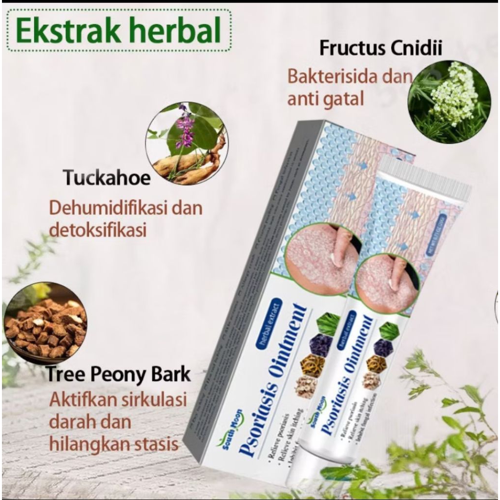 SALEP EKSIM BASAH & KERING