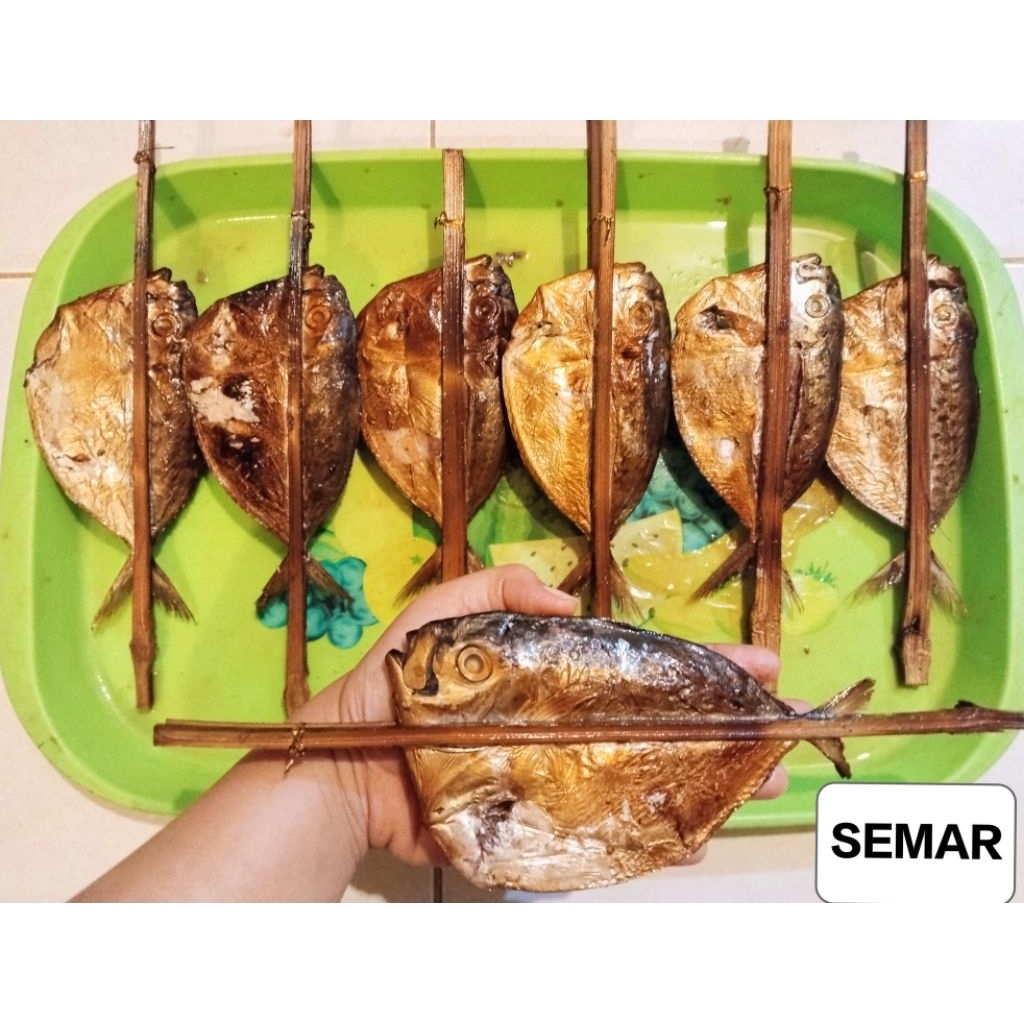 

IKAN ASAP SEMAR ISI 3 BIJI MURAH 12RB