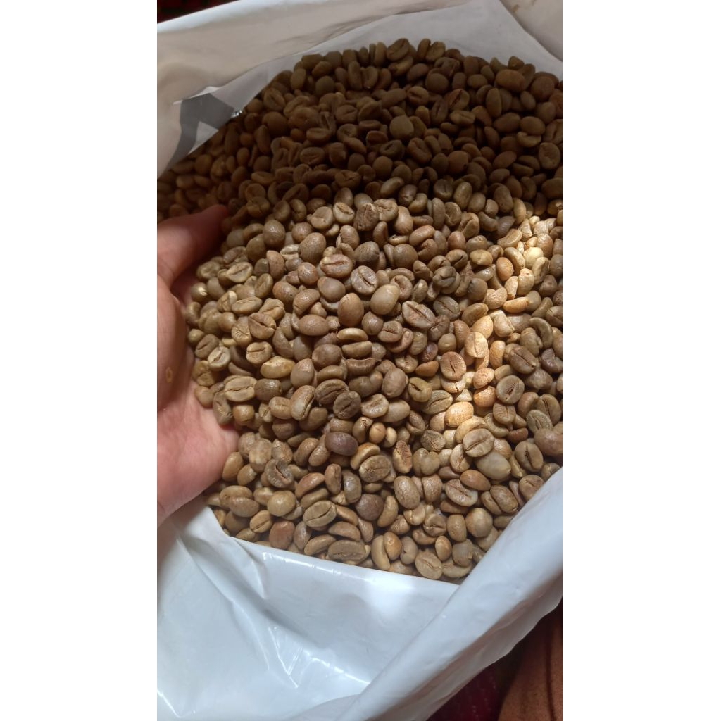 

biji kopi robusta g1/ kopi jambi/ biji kopi kerinci