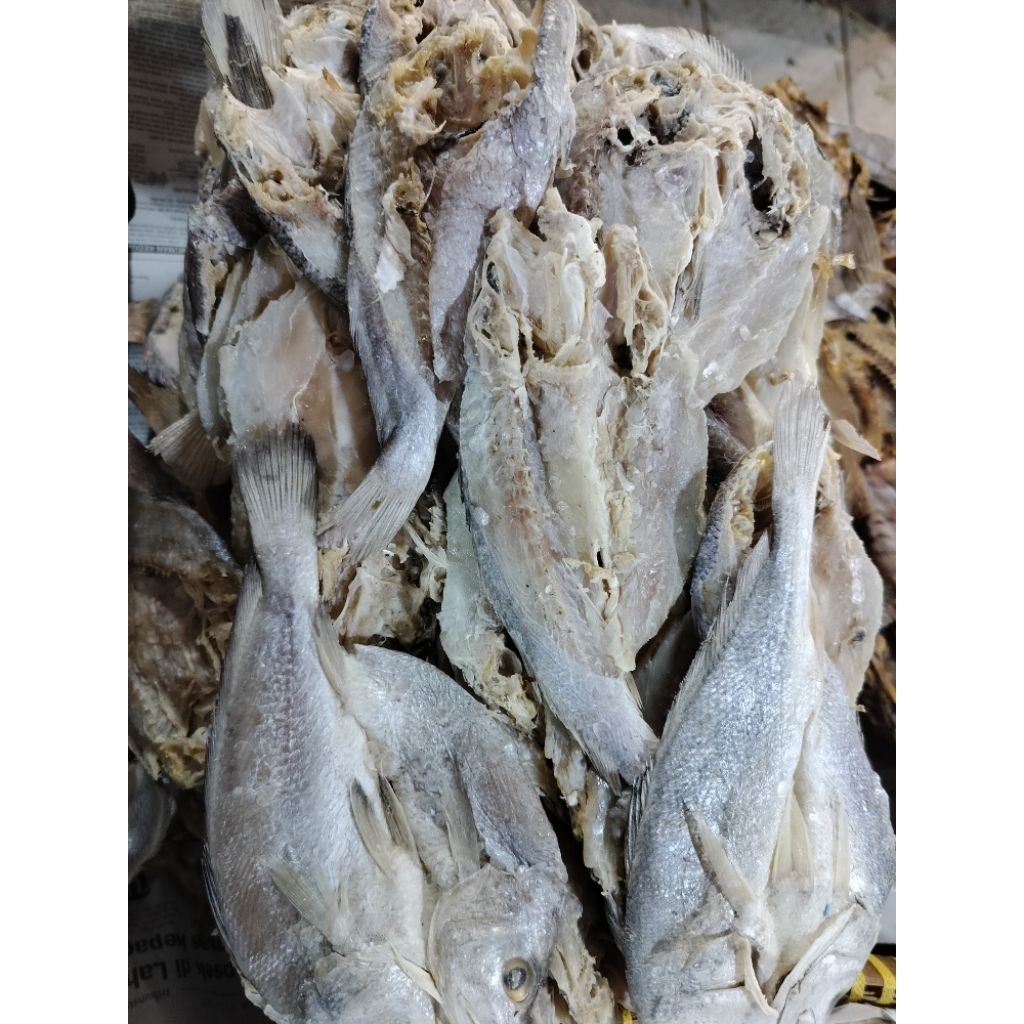 

IKAN ASIN KEPALA BATU BELAH ♛ kualitas premium
