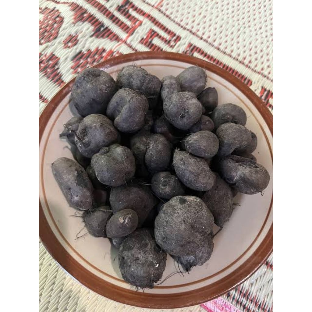 

Kentang Hitam /kentang Klici 1kg