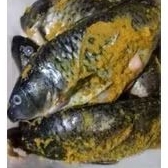 

Ikan mas bumbu kuning siap masak / goreng