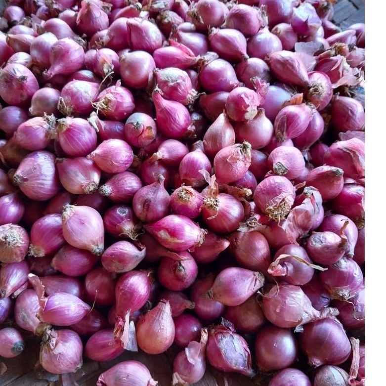 

bawang merah ares fresh segar kecil/mini 1kg sudah kering