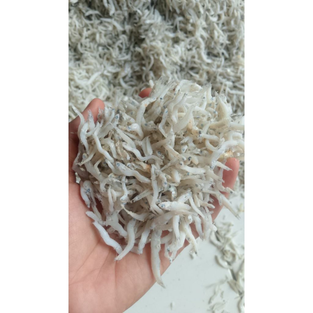 

Teri, nasi Medan premium 1kg