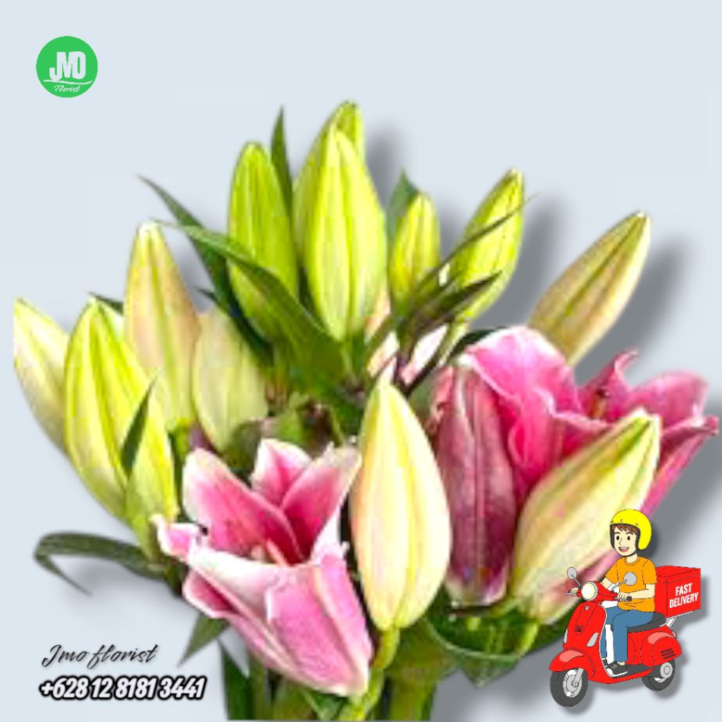 BUNGA LILY CASABLANCA SEGAR