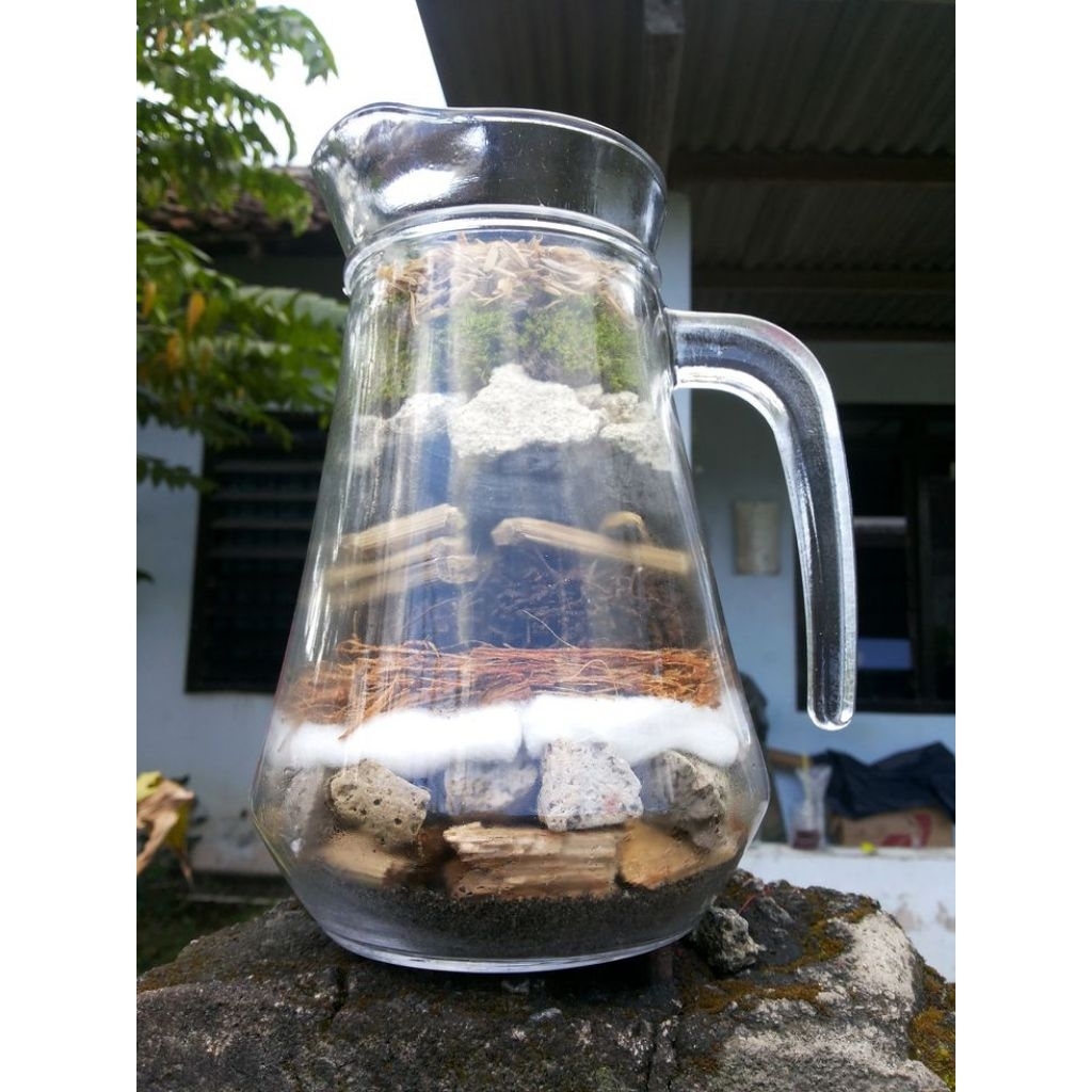 

Air sungai buat Budidaya Kutir