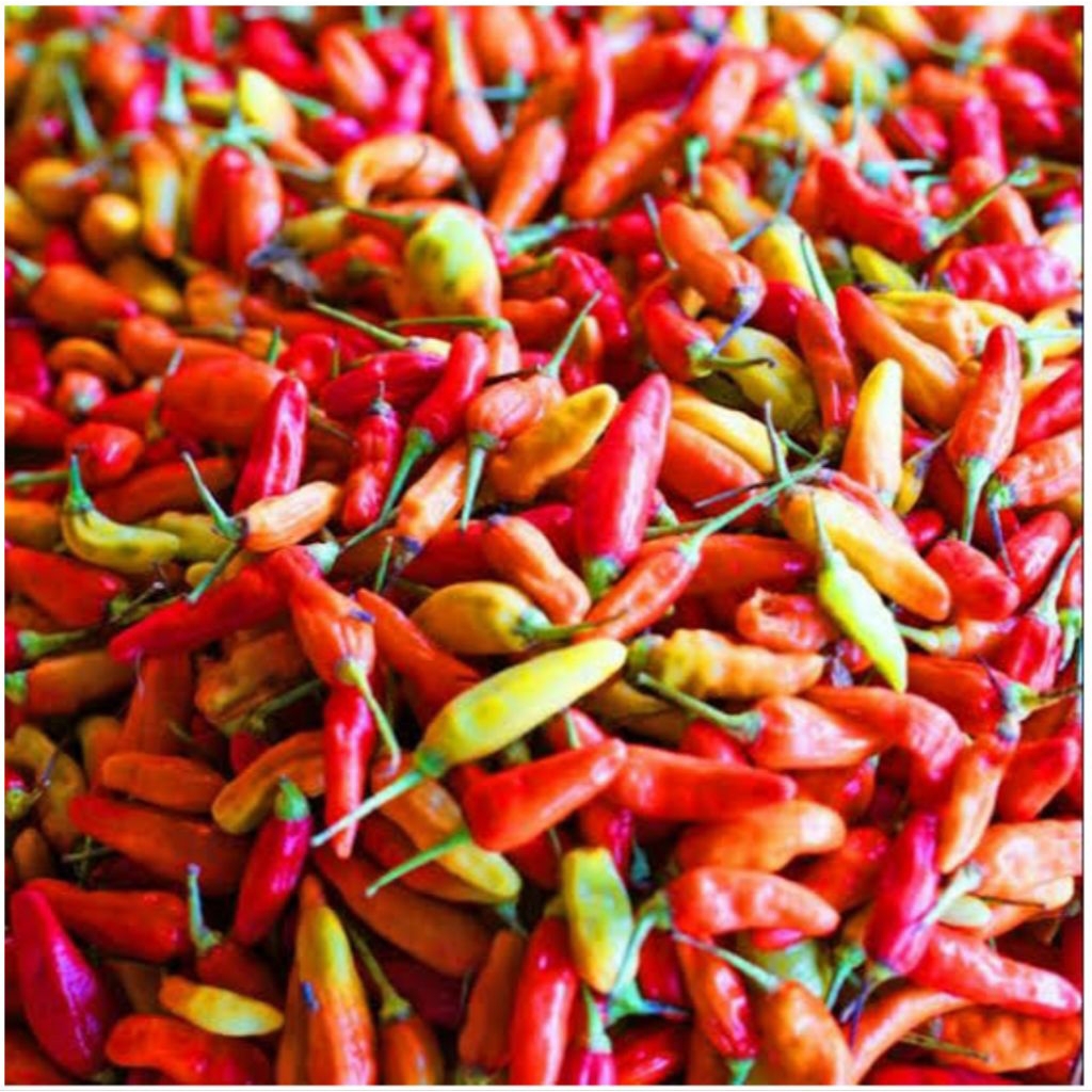 

[1KG = 1000 GRAM / 1 Kilogram] Cabai Rawit 1 Kg Cabe Setan Lombok Galak